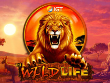 WildLife slot game